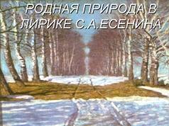 Тема природы в стихах русских поэтов Основные мотивы в лирике поэта, связанные с темой Родины